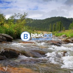 Курс по фотография за начинаещи, напреднали и усъвършенстване, както и за много напреднали