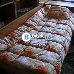 Олекотен юрган