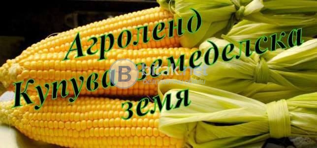 Купувам земеделска земя в област враца в селата ...............
