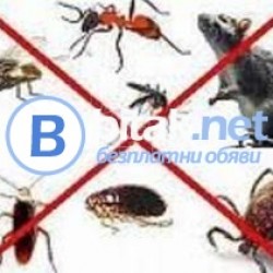 Борба с всички видове насекоми и гризачи на територията на гр.Самоков,