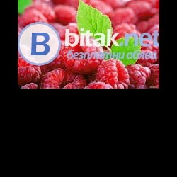 Продавам разсад корени малини Херитидж