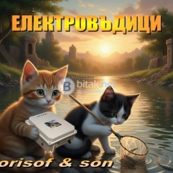 Електровъдица, електрическа въдица