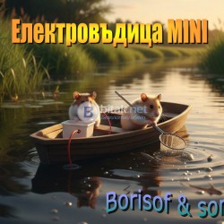 Електровъдици, Електрически въдици