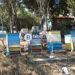 ПРОДАВАМ ПЧЕЛНИ СЕМЕЙСТВА