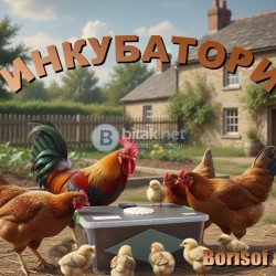 Инкубатори - Цени народни